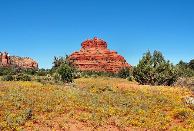 Bell Rock